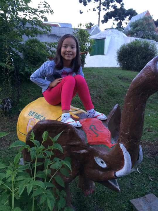 Pousada Igloo Campos do Jordao Luaran gambar